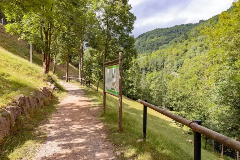 Molló Parc